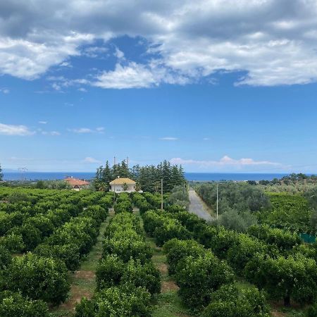 Agriturismo San Francesco Villa Rossano Stazione Eksteriør billede